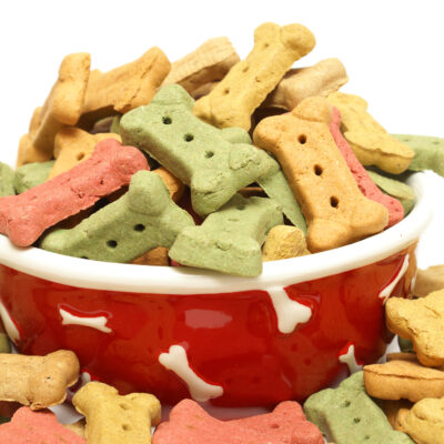 Quick and healthy DIY dog treats