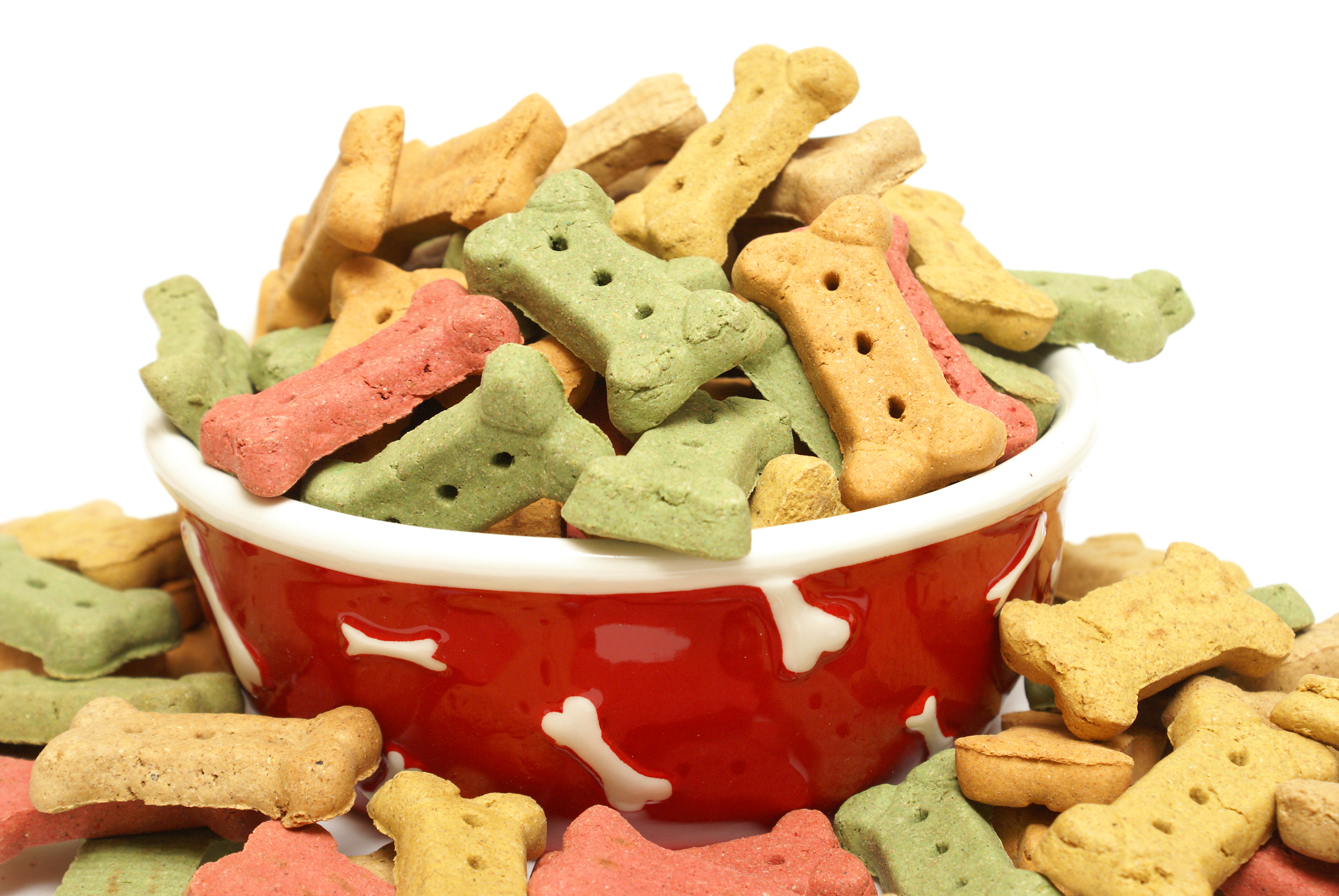 Quick and healthy DIY dog treats