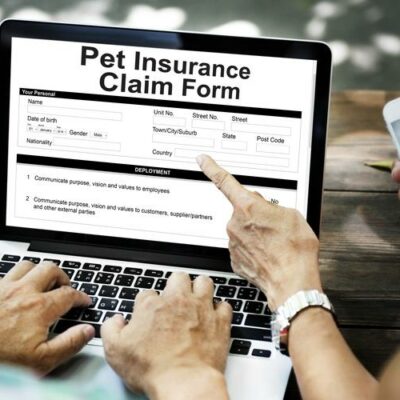 A few tips on how to file for pet insurance claims