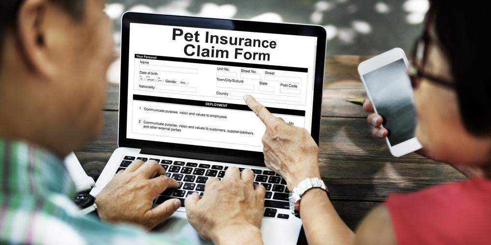 A few tips on how to file for pet insurance claims