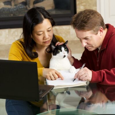 All you need to know before buying pet insurance for cats