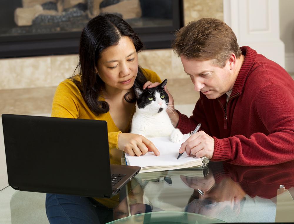 All you need to know before buying pet insurance for cats