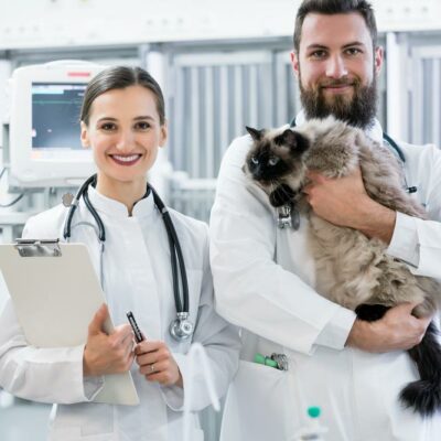 All about veterinary medical records