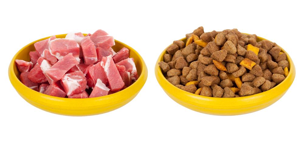 An overview on raw pet food
