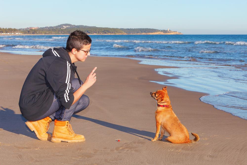 Basic beach etiquettes for your dog