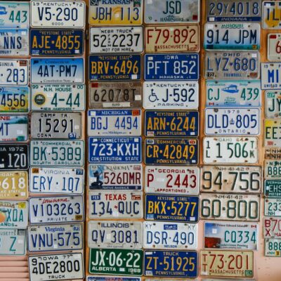 Everything you need to know about pet licensing