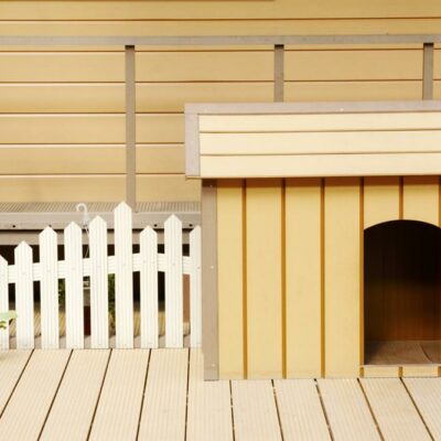 Five red flag alerts you need to be aware of when choosing a kennel