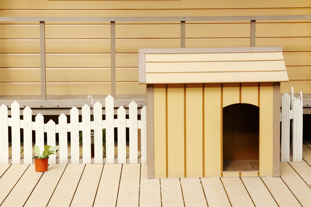 Five red flag alerts you need to be aware of when choosing a kennel