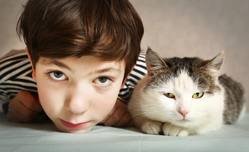 Hypoallergenic cat breeds – For those cat lovers allergic to cats