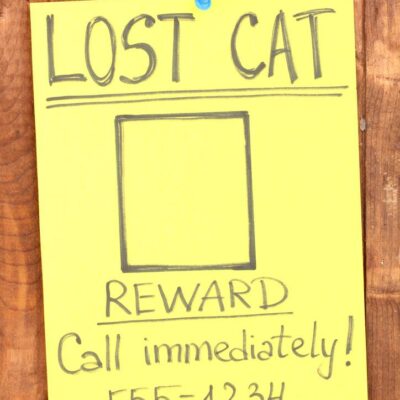 How to create an effective poster for your lost pet