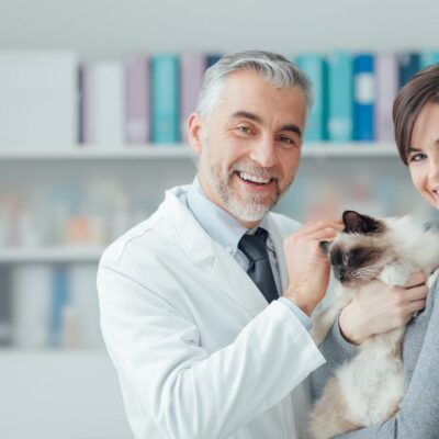 List of things that vets wish pet owners knew
