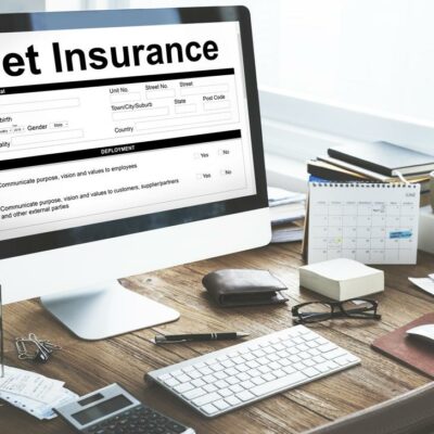 Reasons why buying a pet insurance is a good idea