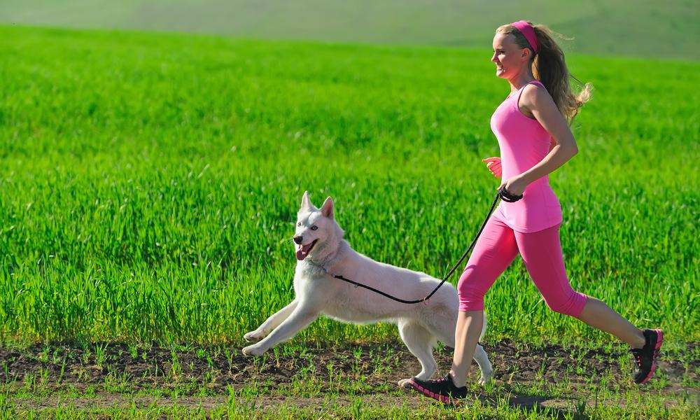 Reasons why you should be running with your dog