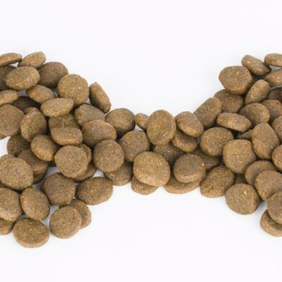 Top reasons why you should be avoiding grains in dog food