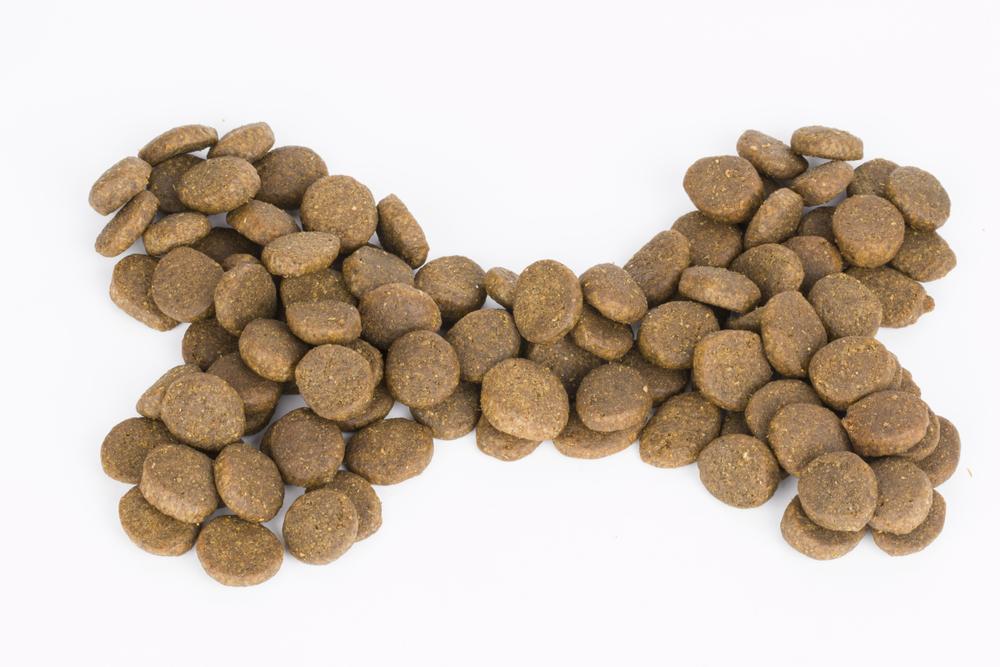 Top reasons why you should be avoiding grains in dog food