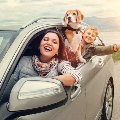 10 tips to enjoy a road trip with your pet
