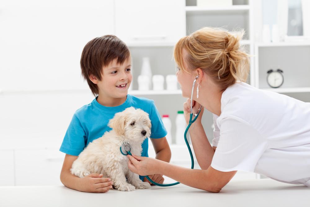 10 ways to save money on pet care