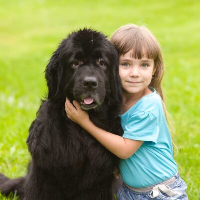 4 of the largest dog breeds that can be your pet