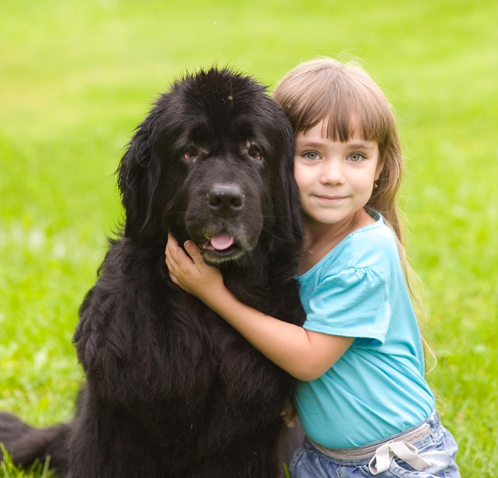 4 of the largest dog breeds that can be your pet