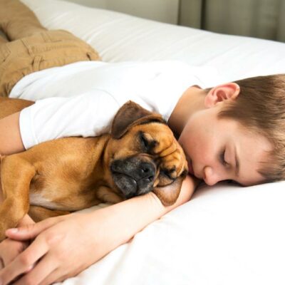 5 Myths and facts about sharing your bed with pets